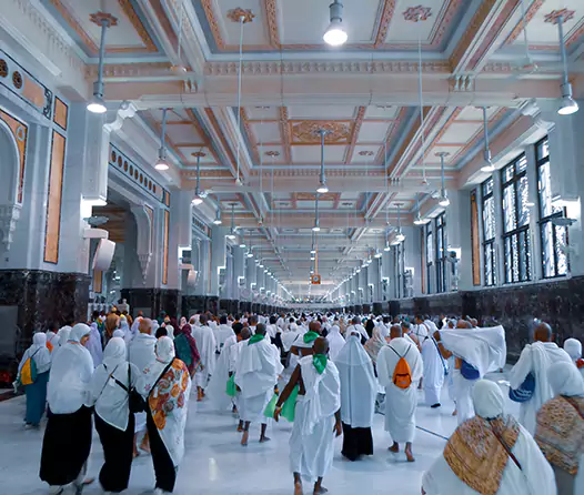 Meet With Farelord Travel